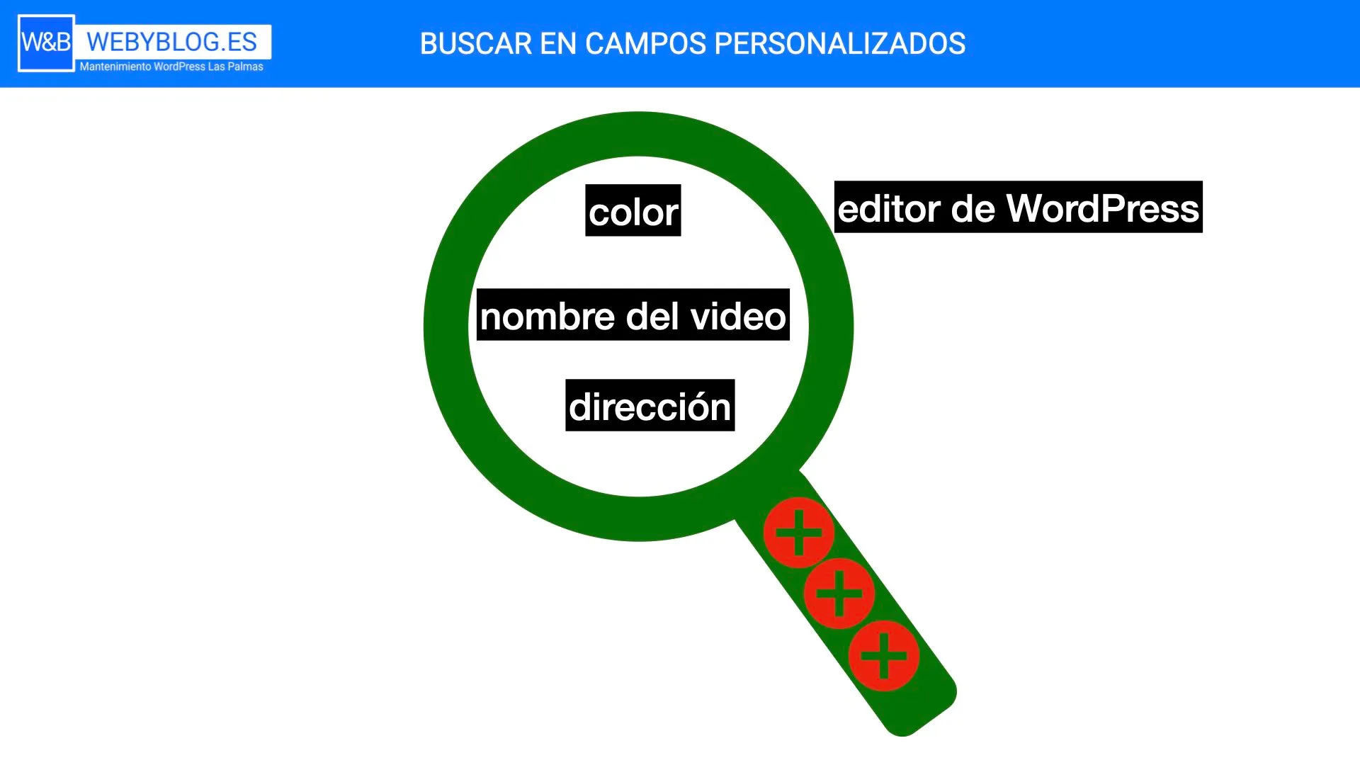 ¿Como hacer para que el buscador de wordpress busque en custom field?