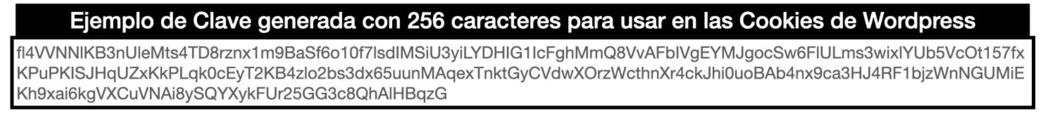 ejemplo-de-clave-de-256-caracteres-para-usar-en-las-cookies.jpg