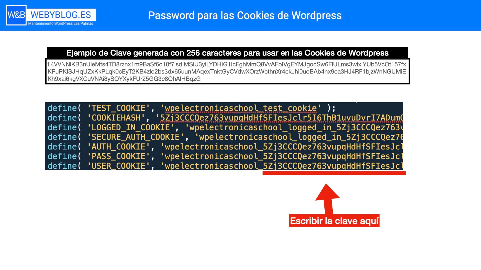password-para-las-cookies-de-wordpress.jpeg