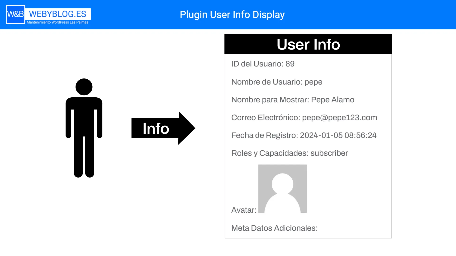 Plugin User Info Display