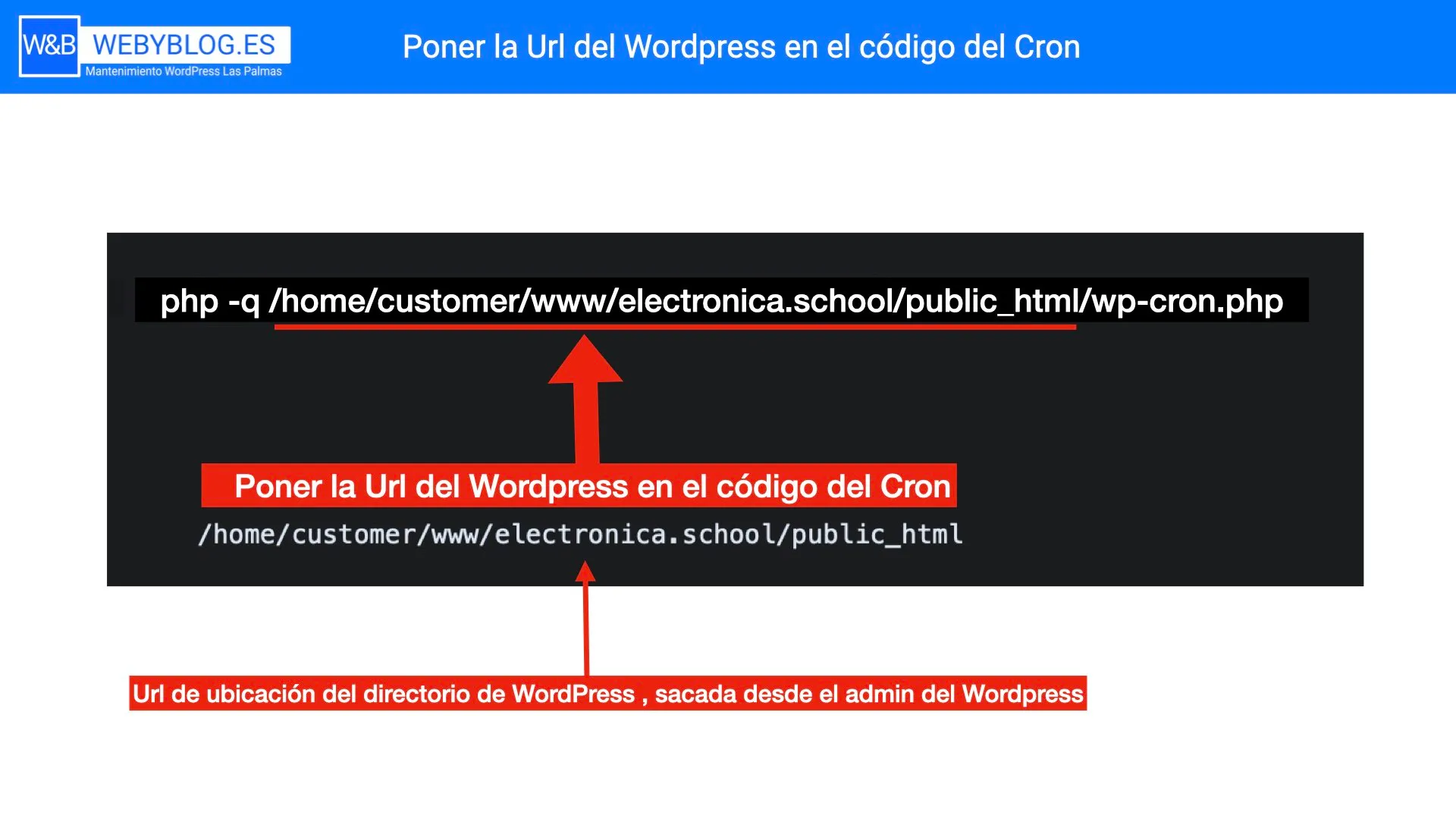 poner-la-url-del-wordpress-en-el-codigo-del-cron.002.jpeg