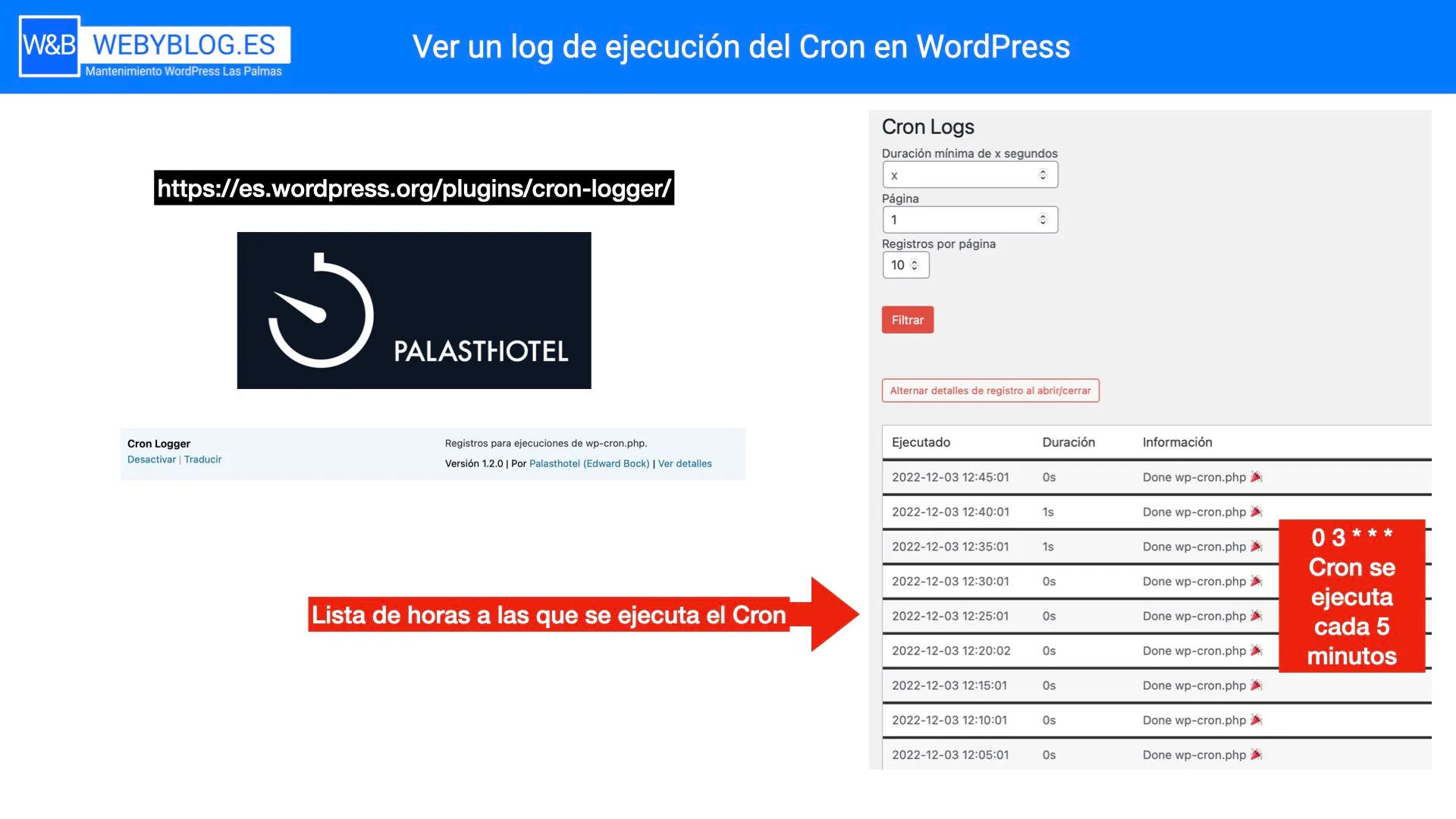 ver-un-log-de-ejecucion-del-cron-en-wordpress.jpeg